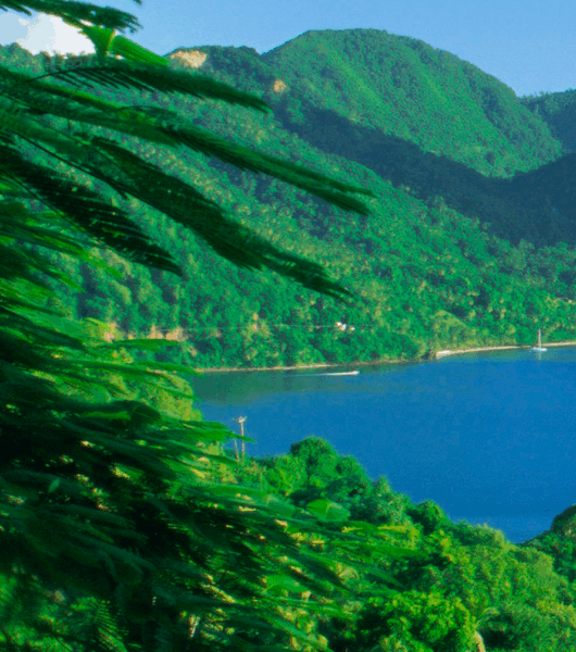 Servicios de transporte privado en Vieux Fort Saint Lucia