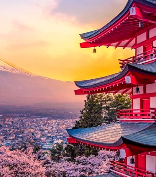 Servizi di trasporto privato a Tokyo