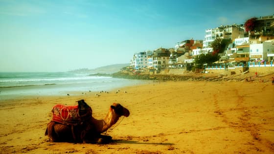 Your European Christmas Holiday in… Africa!