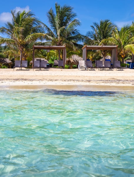 Servizi Autista & Privati a Montego Bay