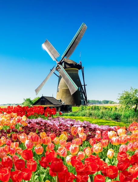 Private Transportation Services in Netherlands