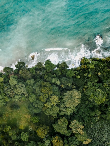 Chauffeur & Private Services in San José of Costa Rica