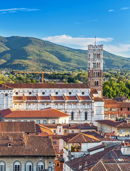 Servizi Autista & Privati a Lucca