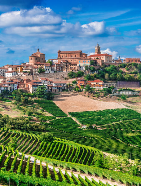 Chauffeur & Private Services in Cuneo