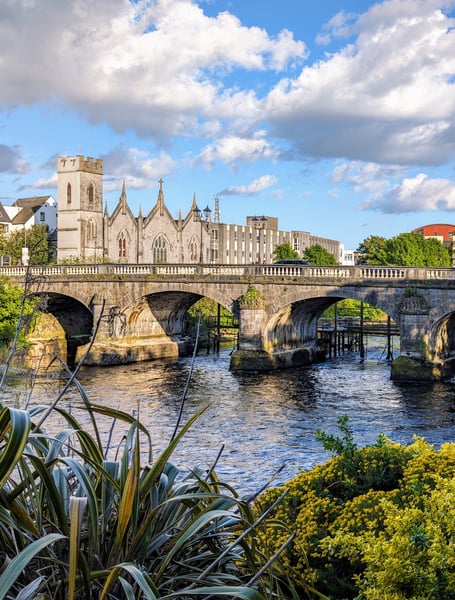 Private Transportation Services in Ireland