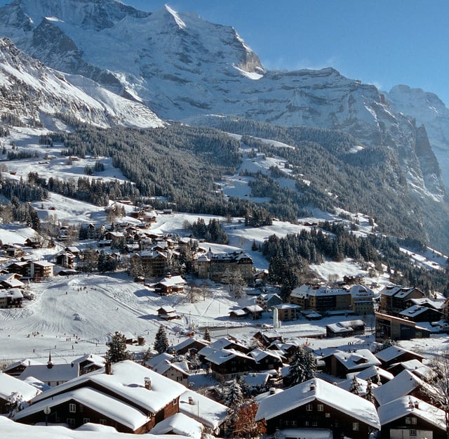 Private Transportdienste in Wengen (Schweiz)
