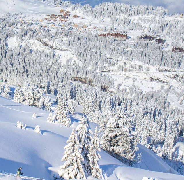 Servicios de transporte privado en Flaine (Francia)