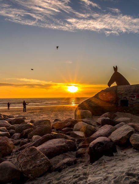 Chauffeur & Private Services in Billund