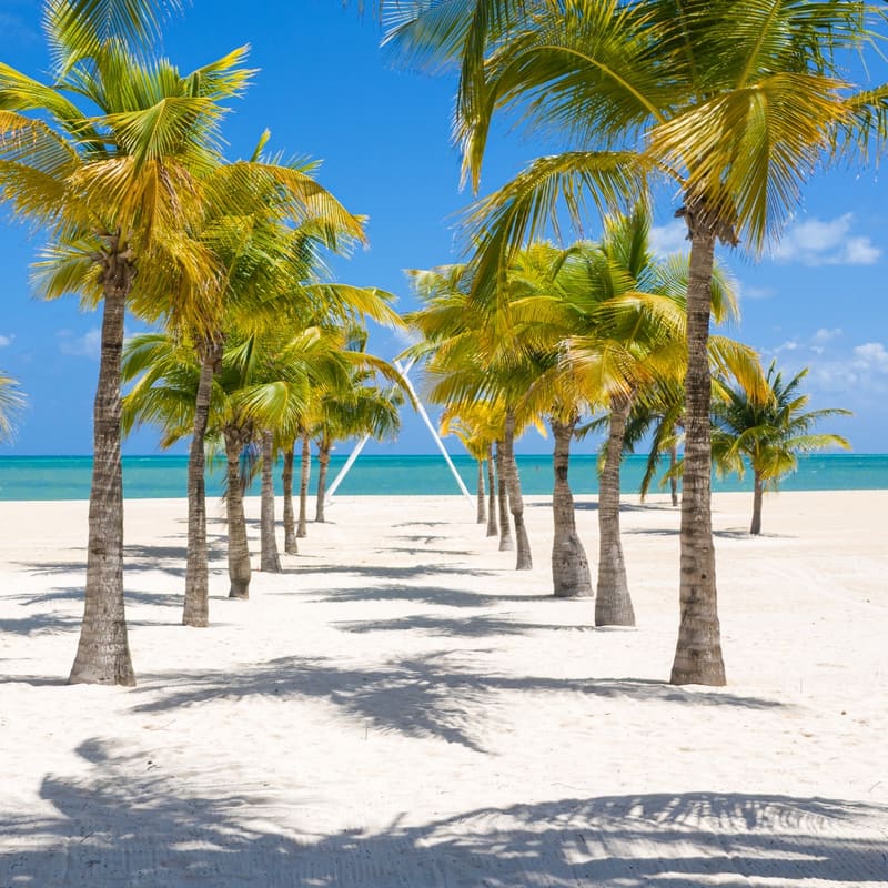 Cozumel Airport Transfers (CZM)