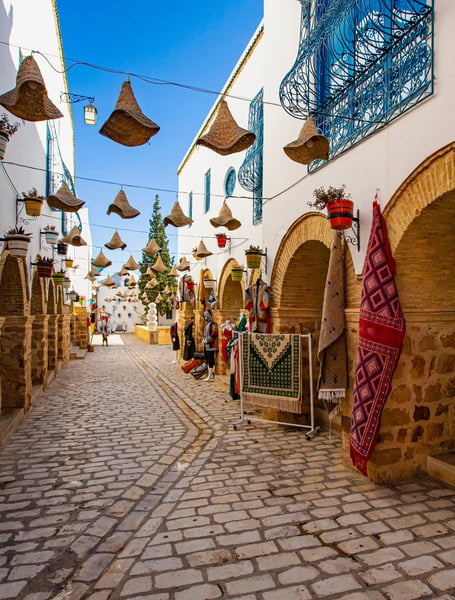 Private transportation services in Tunis Carthage Airport (TUN)