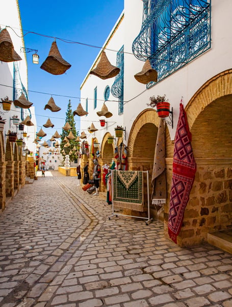 Private Transportation Services in Tunisia