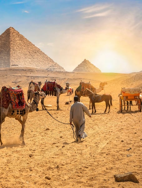 Services de transport privé en Egypte