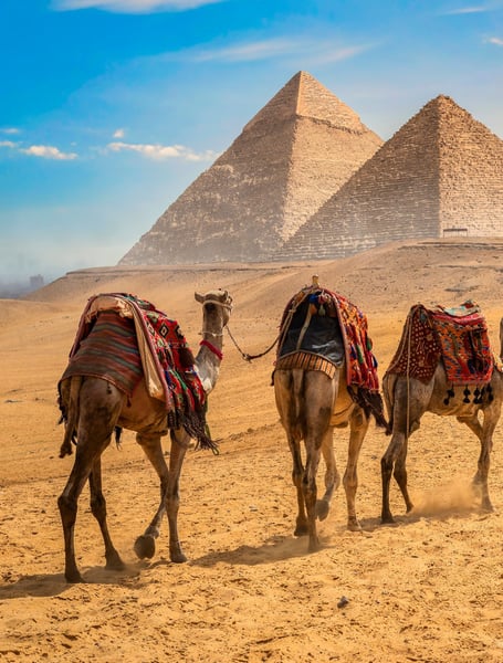Servicios de chófer y privados en El Cairo