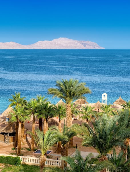 Servicios de chófer y privados en Sharm el Sheikh