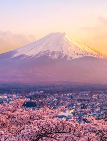 Chauffeur & Private Services in Tokyo
