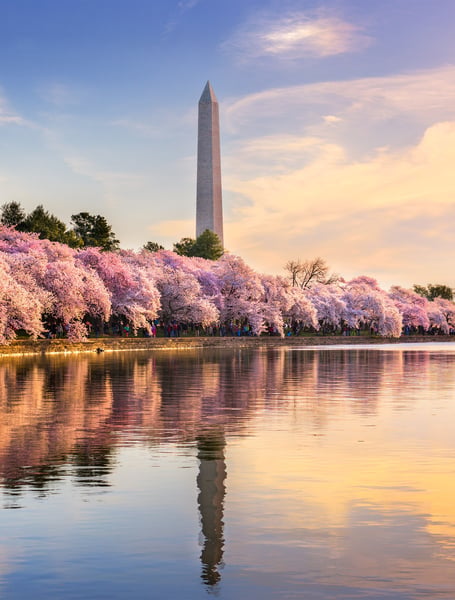 Servizi Autista & Privati a Washington