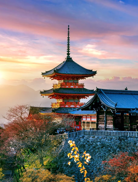 Private Transportation Services in Japan