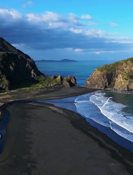 Private Transportation Services in New Zealand