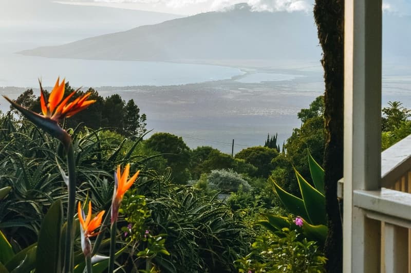 November in Maui