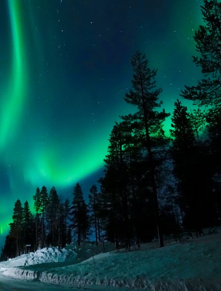 Chauffeur & Private Services in Rovaniemi