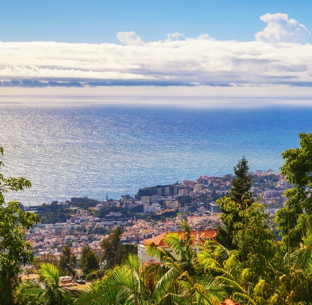 Private Transportation Services in Funchal