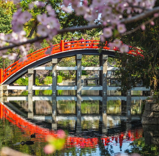 Private Transportation Services in Osaka