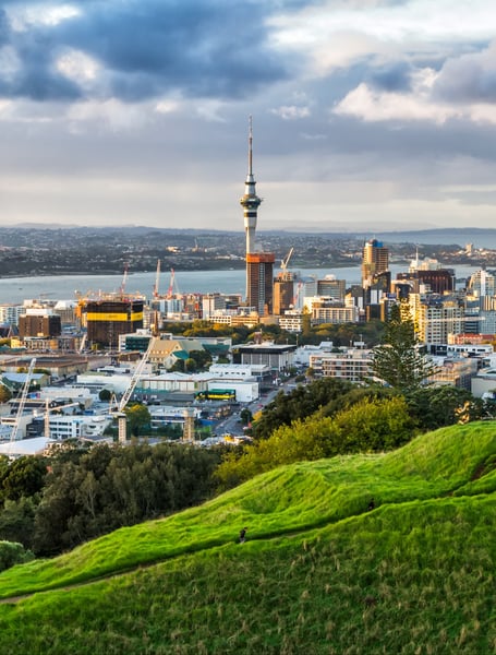 Chauffeur & Private Services in Auckland