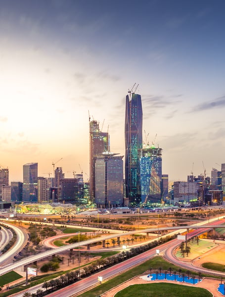 Chauffeur & Private Services in Riyadh