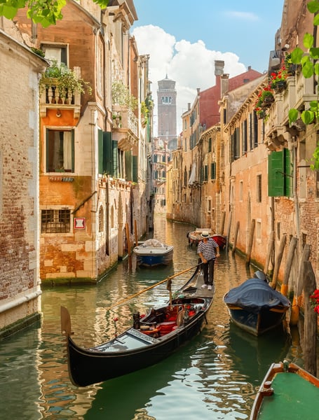 Chauffeur & Private Services in Venice