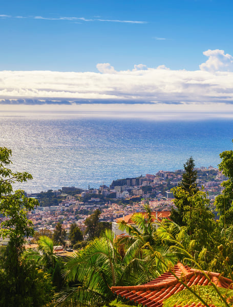 Servizi Autista & Privati a Funchal