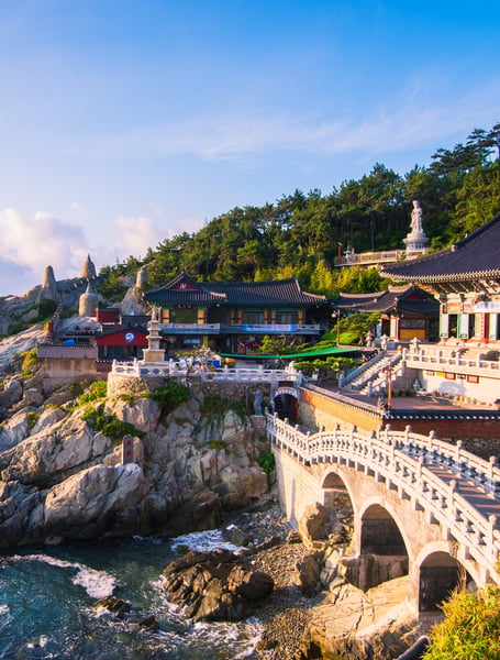 Servizi Autista & Privati a Busan