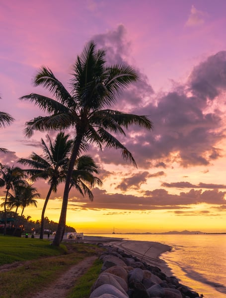 Chauffeur & Private Services in Nadi