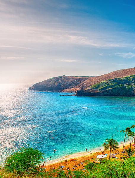 Servizi Autista & Privati a Honolulu
