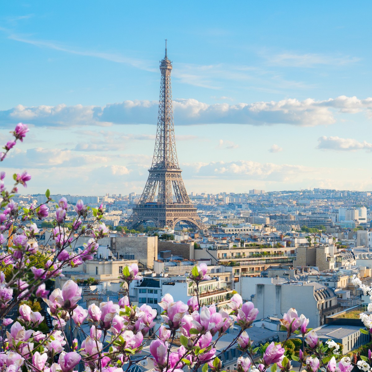Landmarks of Paris, famous Eiffel Tower and Paris roofs