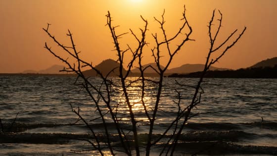 Safari in Botswana: terra di pace