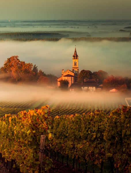 Chauffeur & Private Services in Bordeaux