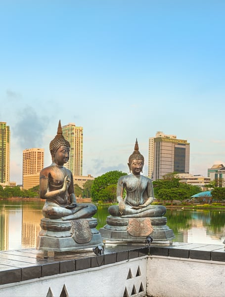 Chauffeur & Private Services in Colombo