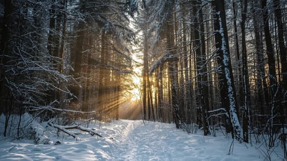 Calabria… di neve! Dove andare a sciare