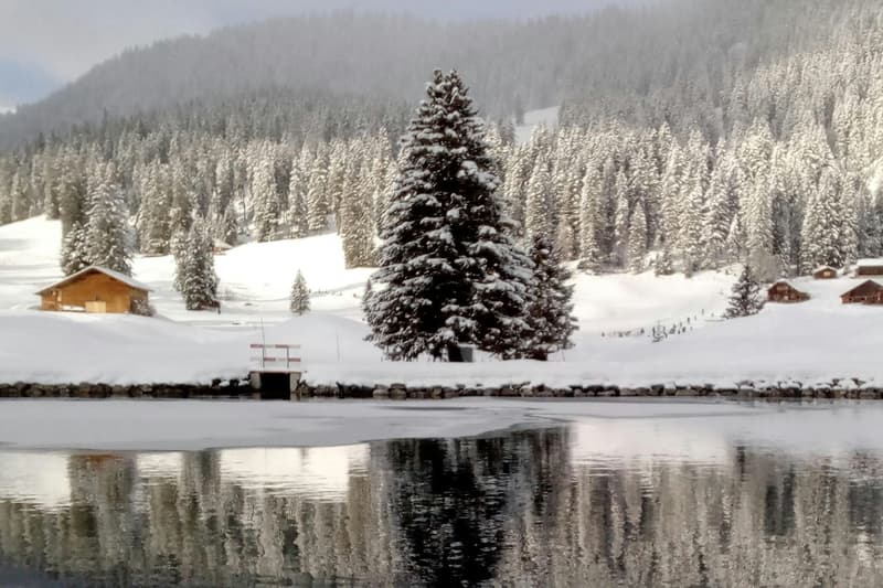 Canada, lo sci e il lago