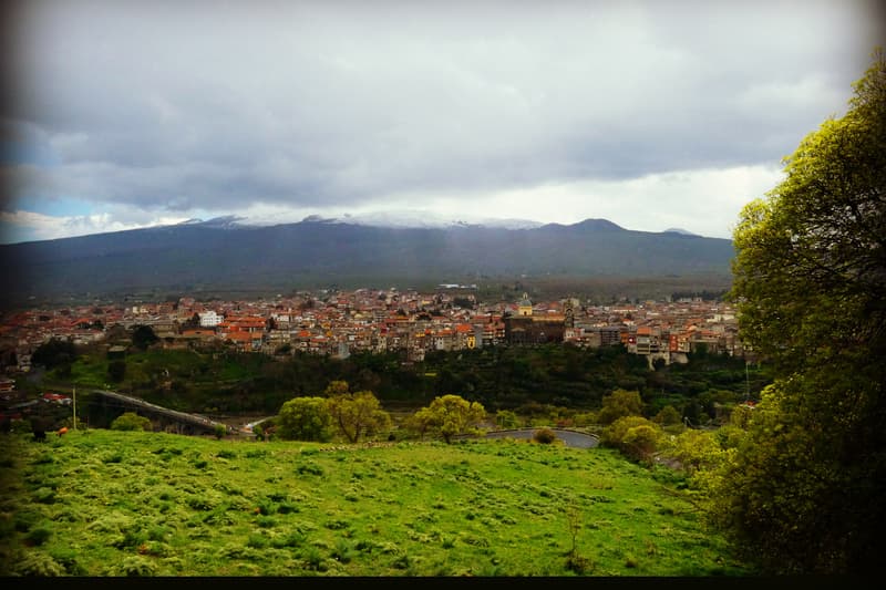 Turismo Experiencial de Primavera: Tres Ideas