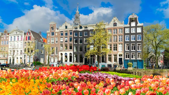 Keukenhof-Tulpengarten