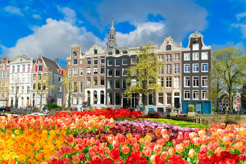Keukenhof-Tulpengarten