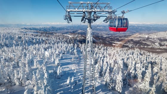 Whistler Blackcomb: where the Brave do ski
