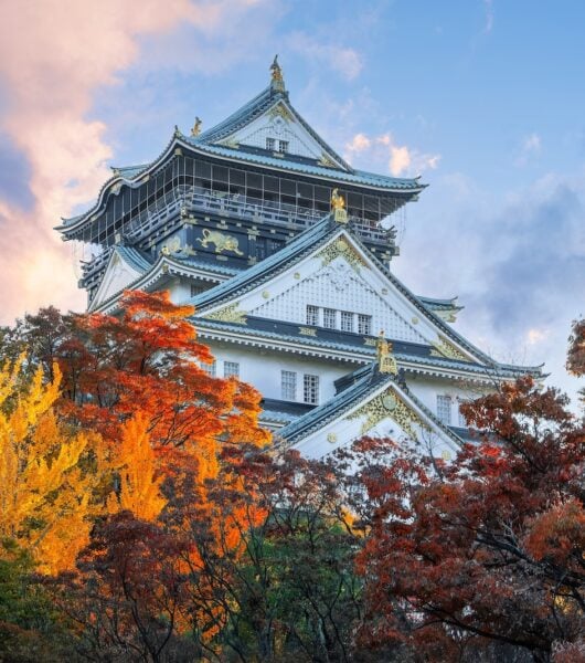 Private transportation services in Osaka