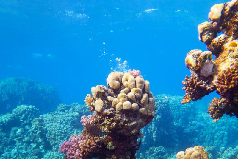 Diving: Top 5 Places in Europe