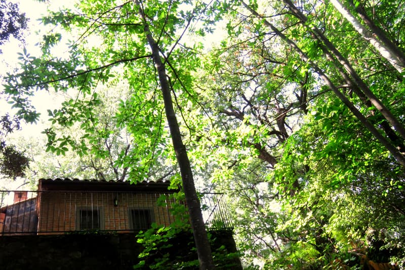 Sommerurlaub in den Bergen: fünf Reiseziele