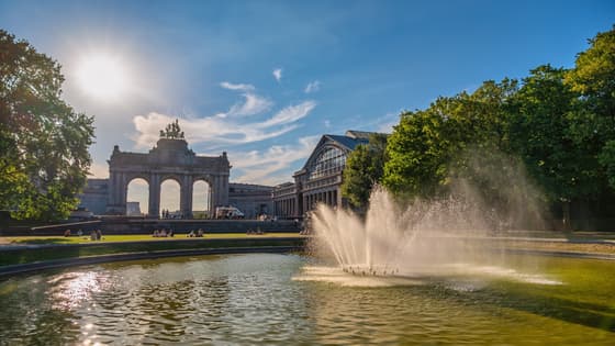 brussels and children