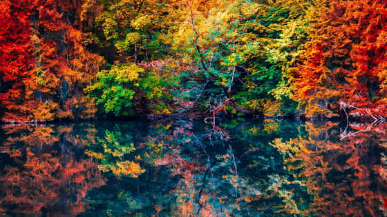 Herbstfarben: wo und wann man sie weltweit bewundern kann