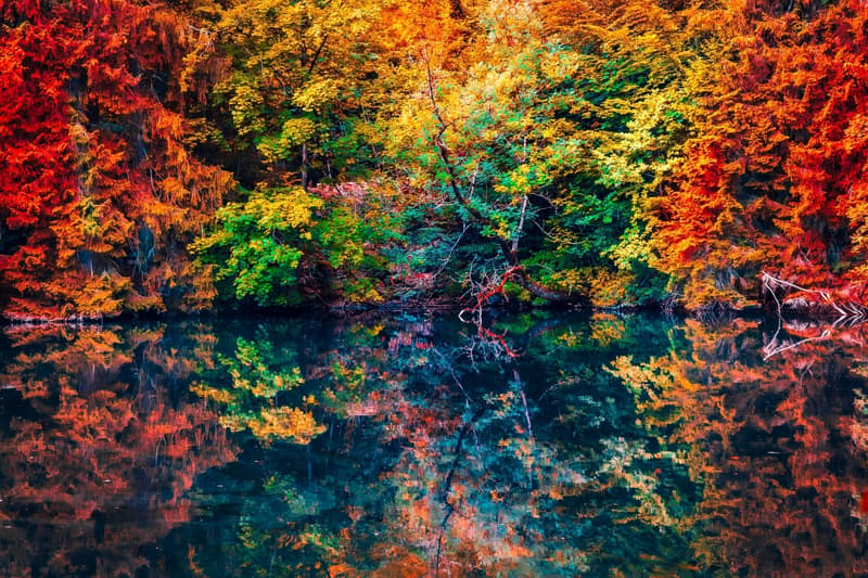 Herbstfarben: wo und wann man sie weltweit bewundern kann
