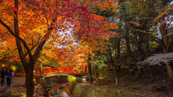 Autumn colors in Japan: the magic atmosphere of Kyoto